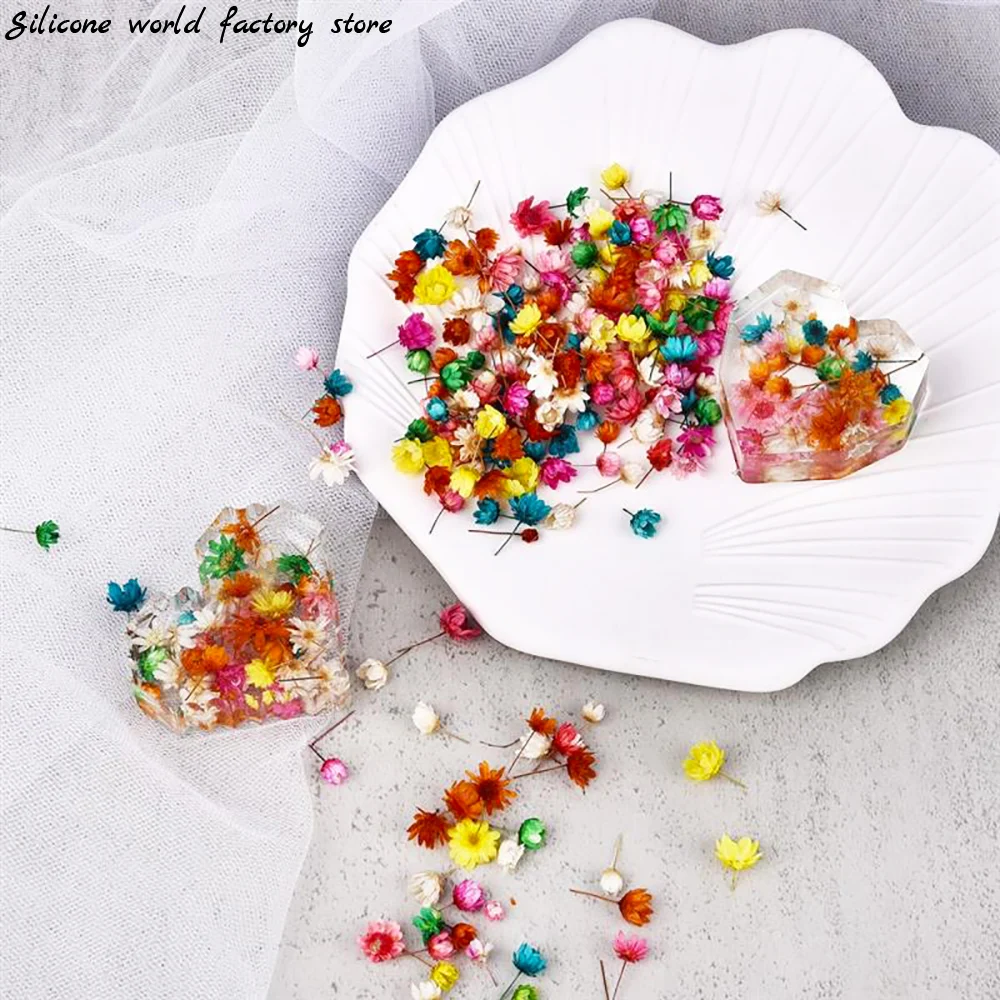Silicone world 1/2g Real Dried Flowers Little Star Flower For DIY Epoxy Resin Jewelry Making Decoration Resin Mold Filling Art