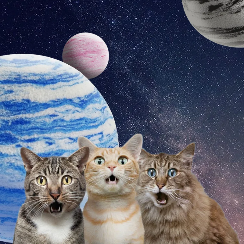 Игрушечный мяч для кошек текстурированный из этиленвинилацетата Galaxy Cat Self Hi