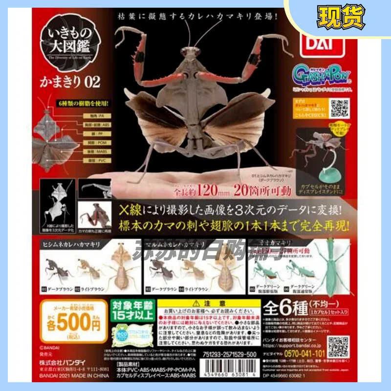 

Bandai Japan Anime Cute Capsule Toys Mantis 2 Biograph Book Series Joint Movable Insect Deroplatys Desiccata Models Gift
