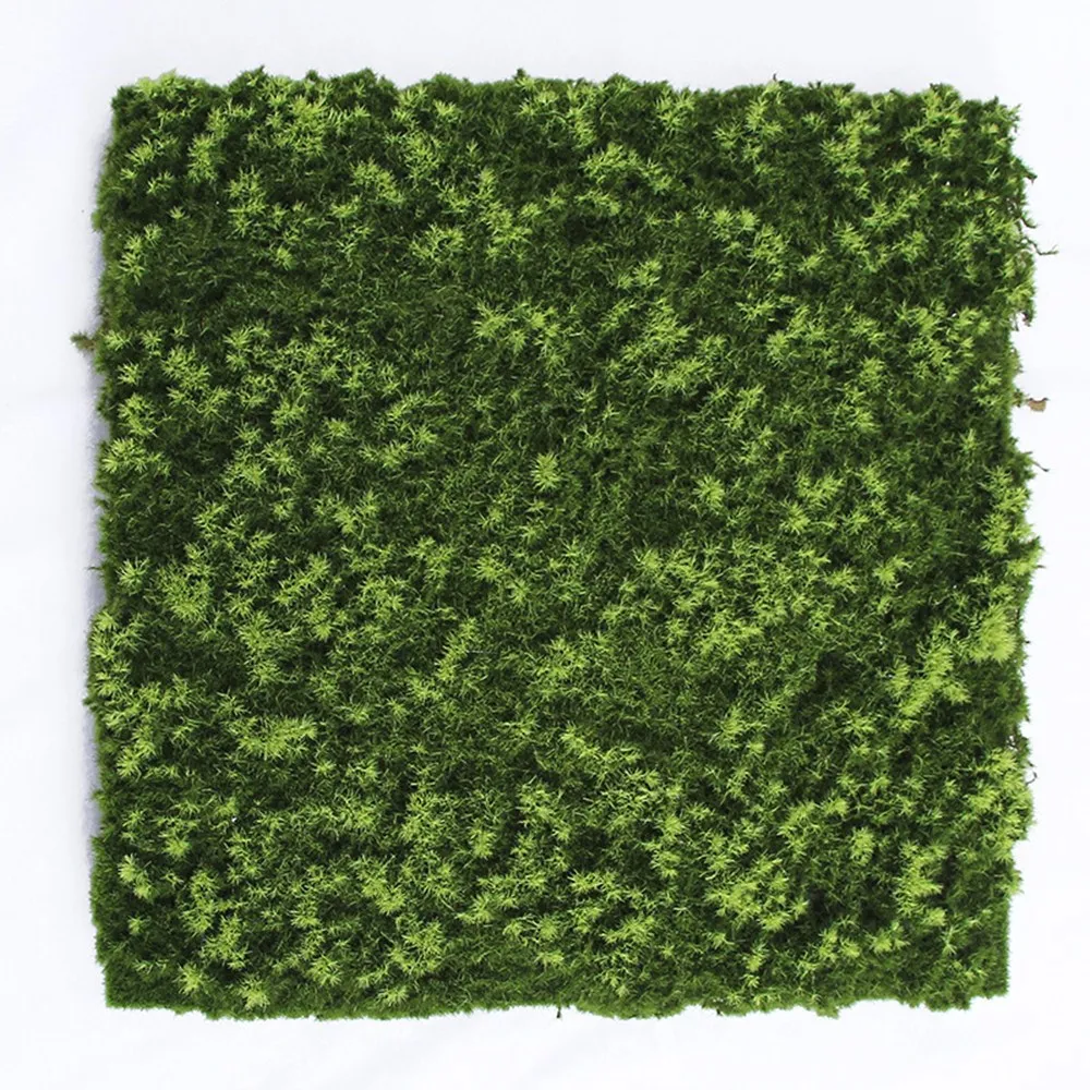 

Искусственное растение Моховая лужайка растение стена зеленая стена магазин украшение мох плюс нежные волосы