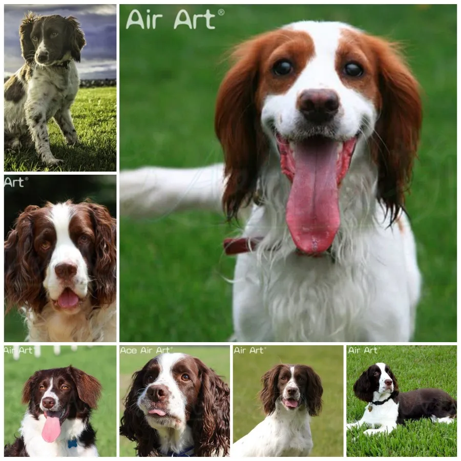 

Springer Spaniel 5D DIY Вышивка крестиком Мозаика алмазная живопись набор для творчества для украшения дома