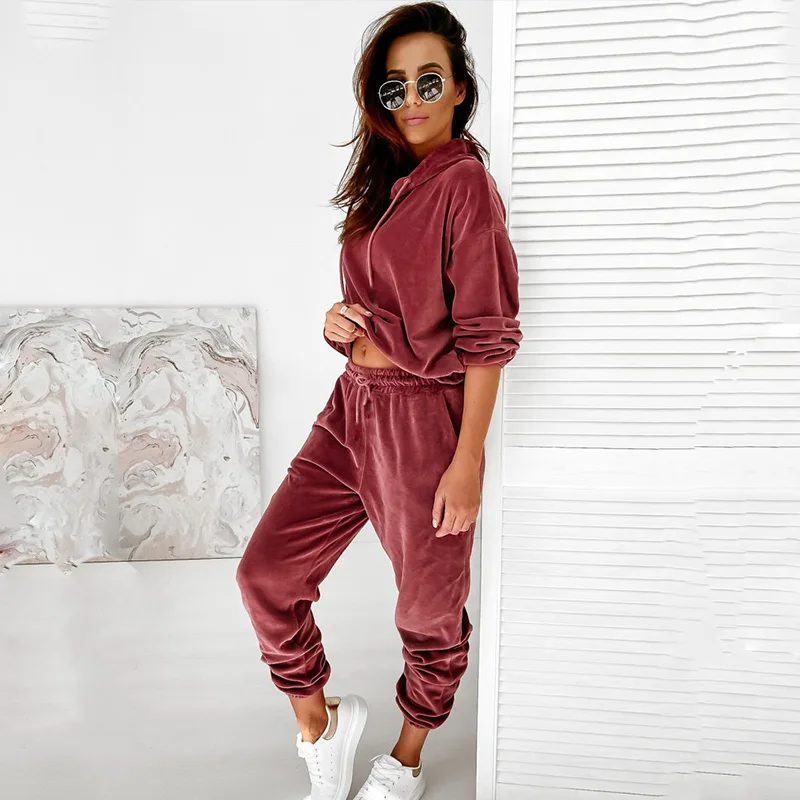 

Velvet Tracksuit Women Set Athleisure Hooded 2 Piece Outfit Long Sleeved Top and Pant Suits Sporty Jogging Femme