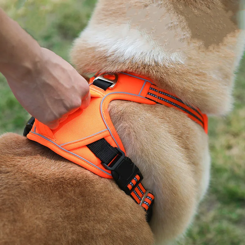 

Pet Sports Chest Harness Vertical Handle Dog Traction Vest Explosion-Proof Punch Dog Collar And Leash Set Dog Collar