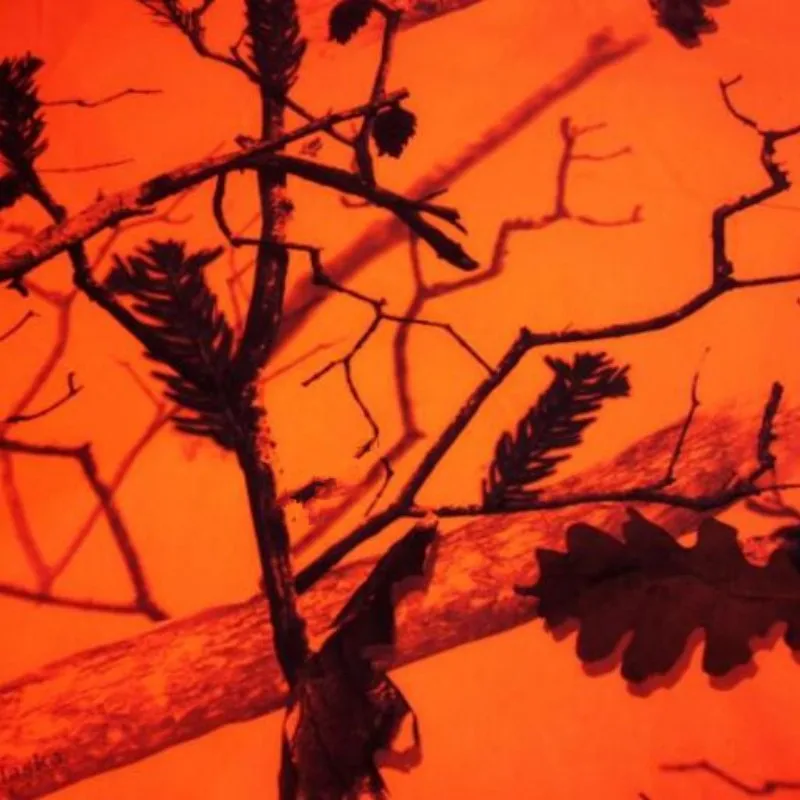 

Tangerine Orangey-красное бионическое дерево, камуфляжная фотография