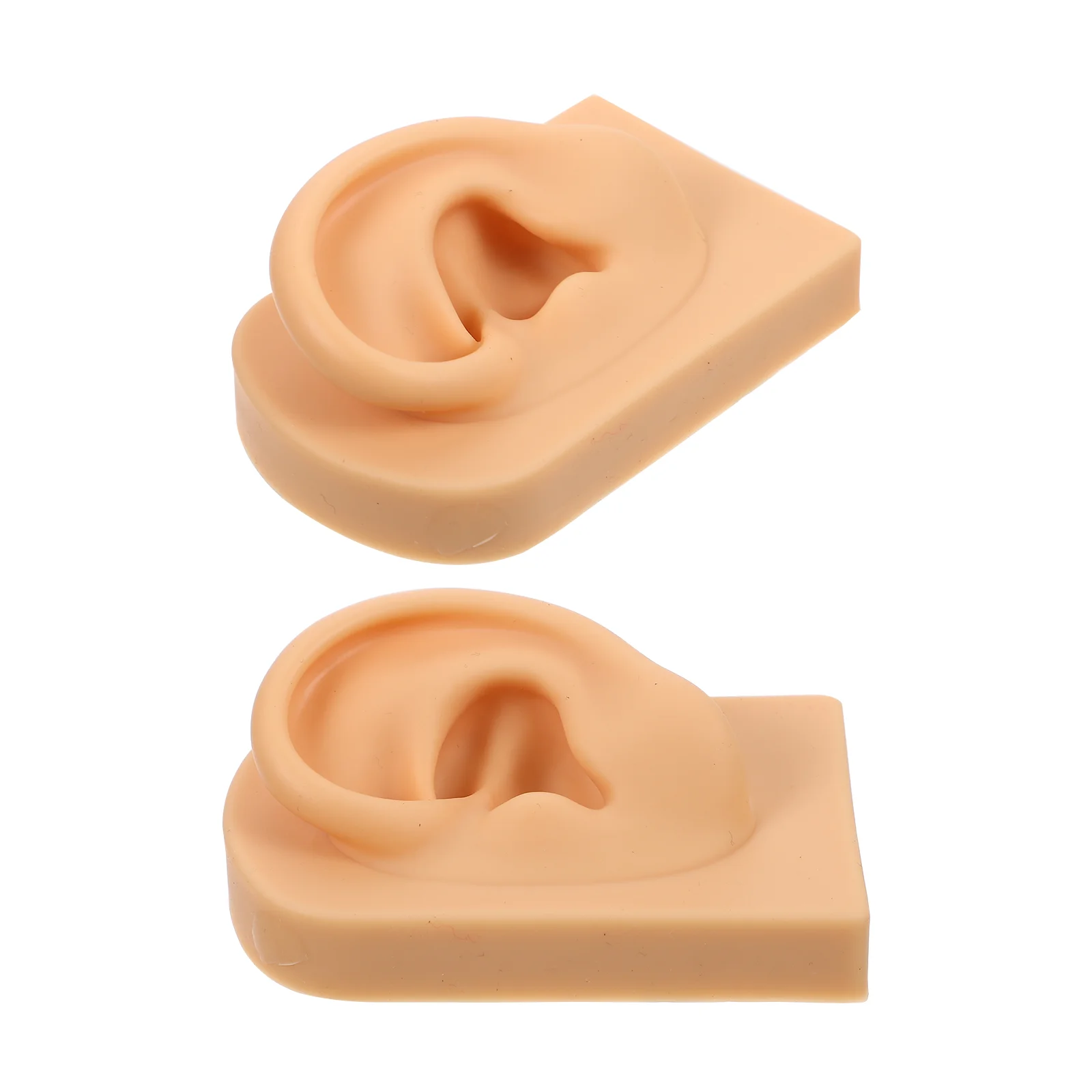 

1 Set Simulation Ear Model Ear Mold Earring Display Model Ear Practice Prop