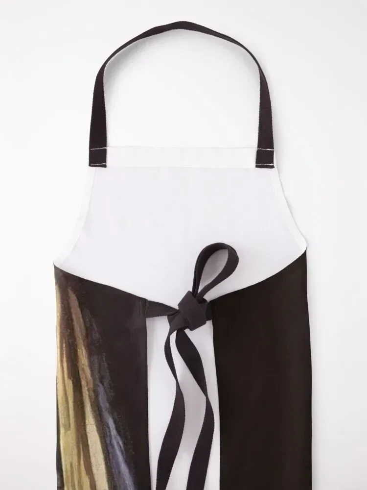 Johannes Vermeer (1632 - 1675): Девушка с жемчужной серьгой c. 1665 масло на холсте 46 5 x 40 см Mauritshuis