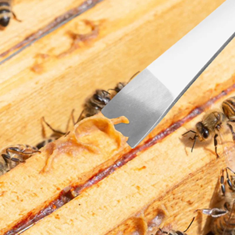 Скребок для ногтей из нержавеющей стали