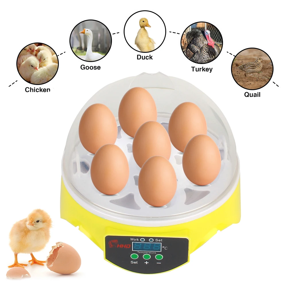 

Mini Egg Incubator for Chicken Duck Bird Pigeon 7 Egg Brooder Farm Hatchery Poultry Incubator Adjustable Digital Temperature