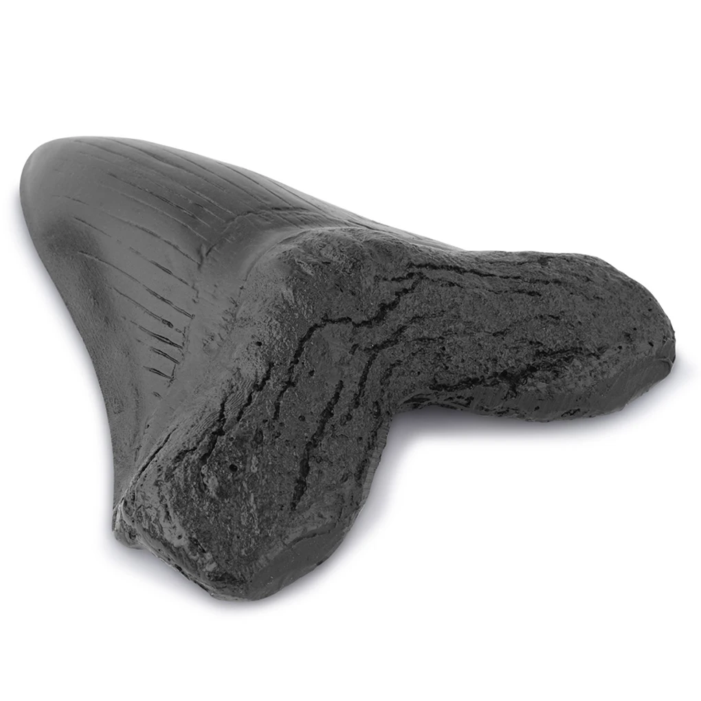 

Shark Teeth Resin Retro 5 Inches Teaching Props Megalodon Tooth Black