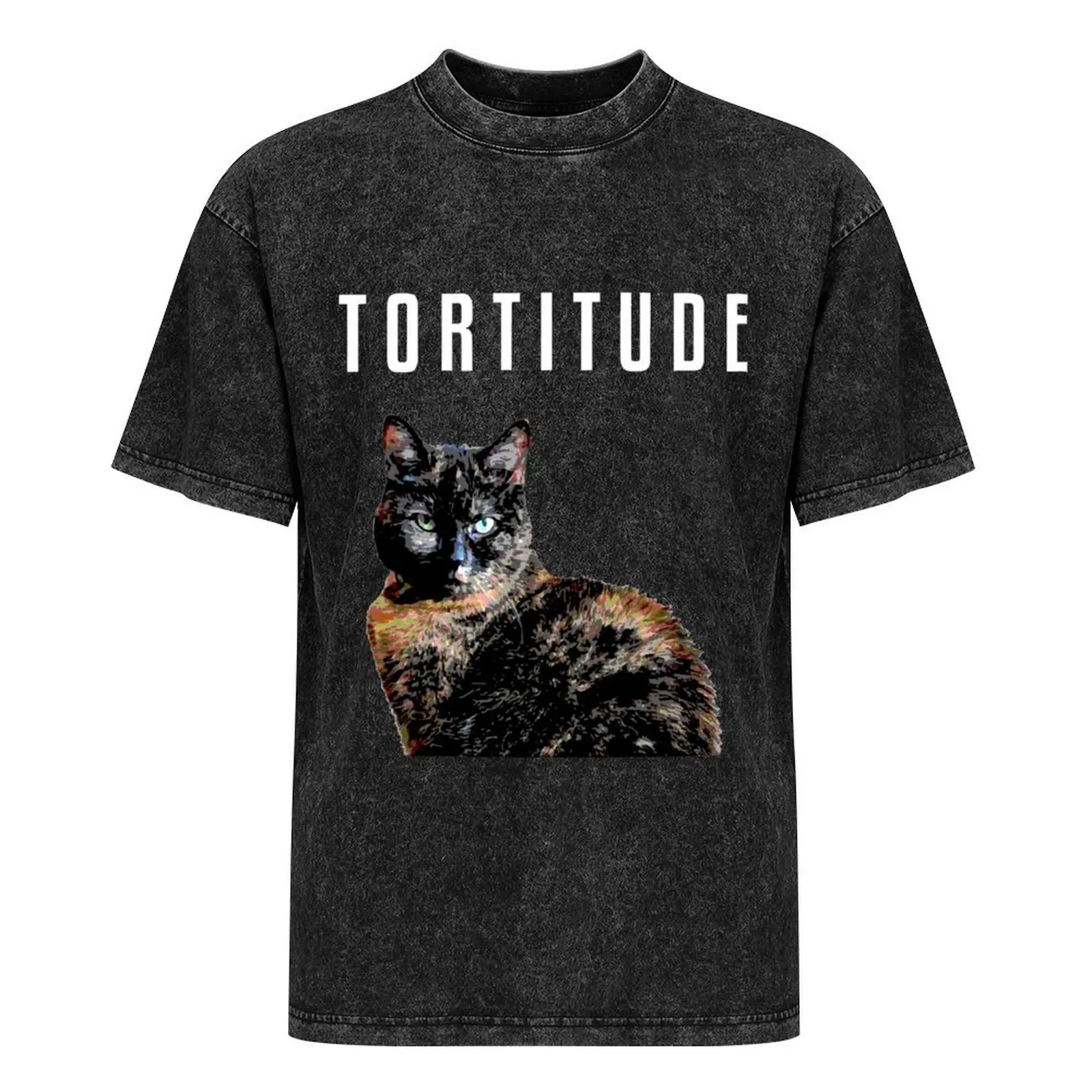 Футболка мужская оверсайз с рисунком кошки торти