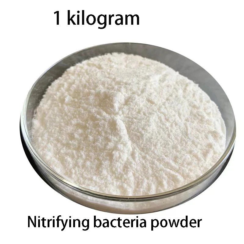 

Nitrifying Bacteria Powder Water Purification Disinfection And Sterilization Koi Goldfish Ornamental Fish Supplie