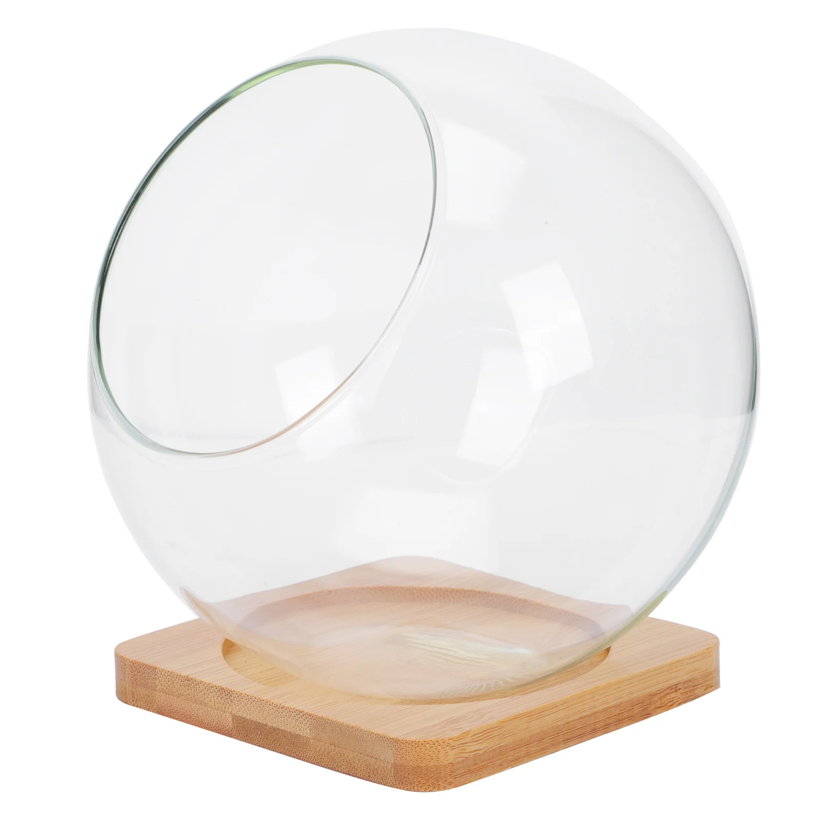 

Glass Terrarium Container Round Glass Vase Ferns Glass Pot Hydroponic Planter Air Planter Globe Glass Terrariums Plants