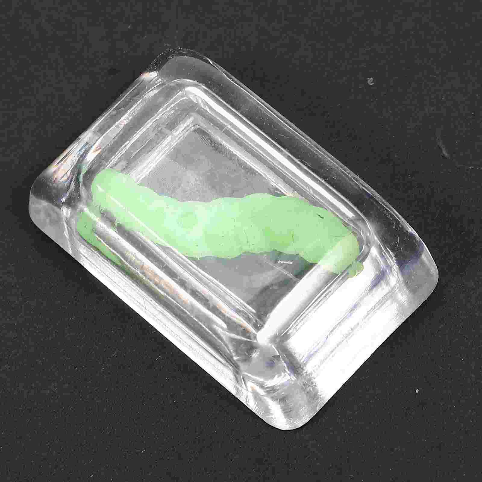 6 шт. хитрый кубик льда ошибка зажигание 5000 слоеных интересных кубиков с жуками