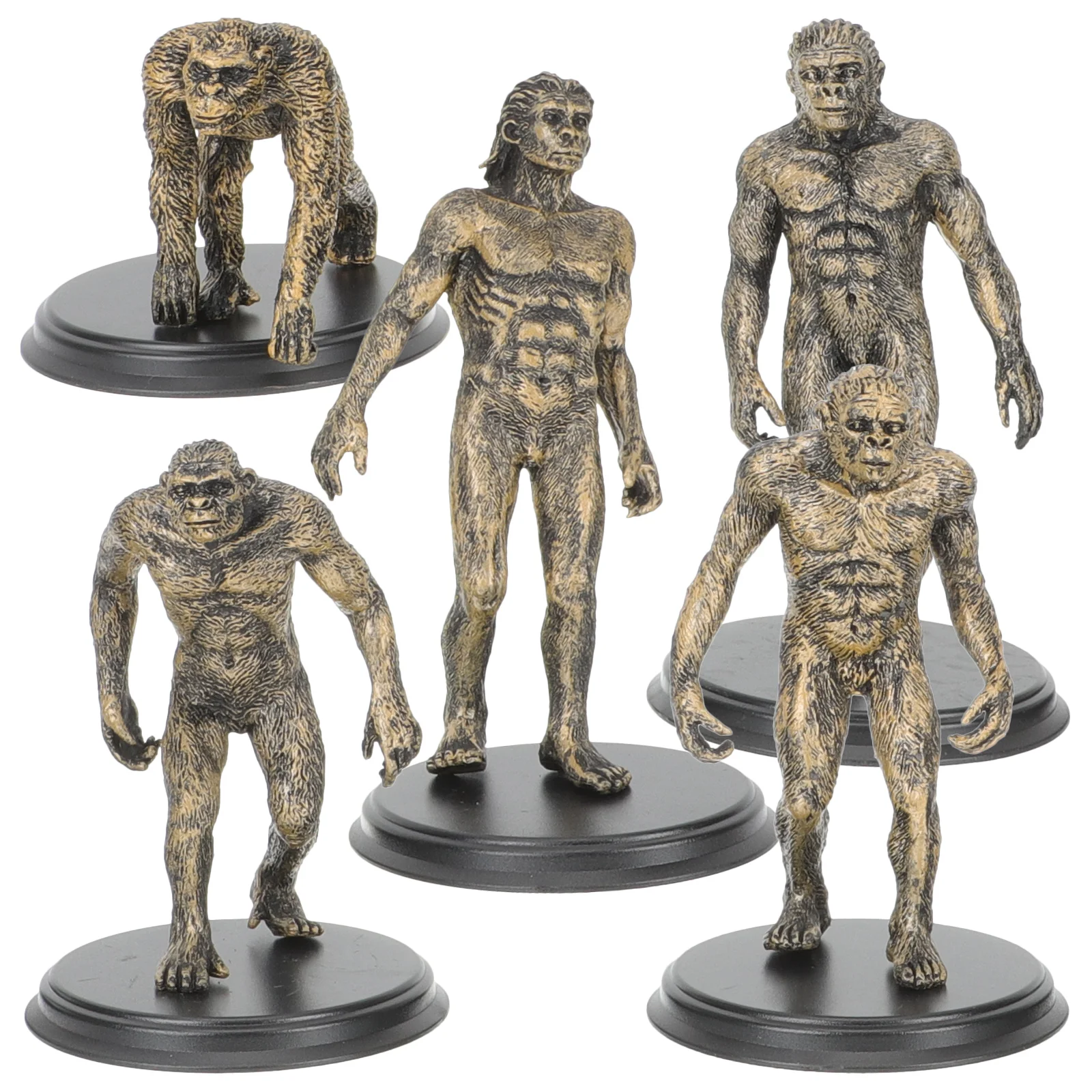 Мужская головоломка Ape Man модель эволюции детские игрушки примитивные фигурки