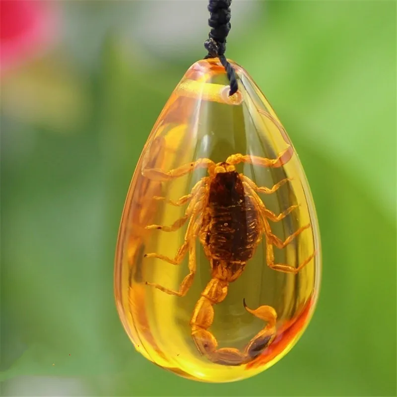 

Insect Stone Natural Scorpions Inclusion Amber Baltic Pendant Necklace Home Decorative Stone