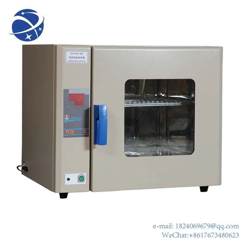 

162L Cheap Price Hot Sale Constant Temperature incubator
