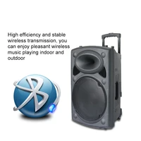 portable sound amplifier 15inch bluetooth karaoke speaker with wireless microphone set outdoor trolley battery tv high power