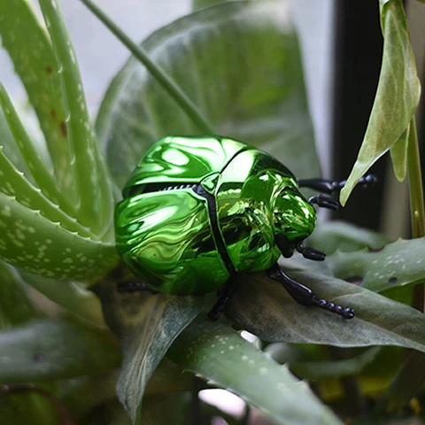 Заводной жук ZTOYL