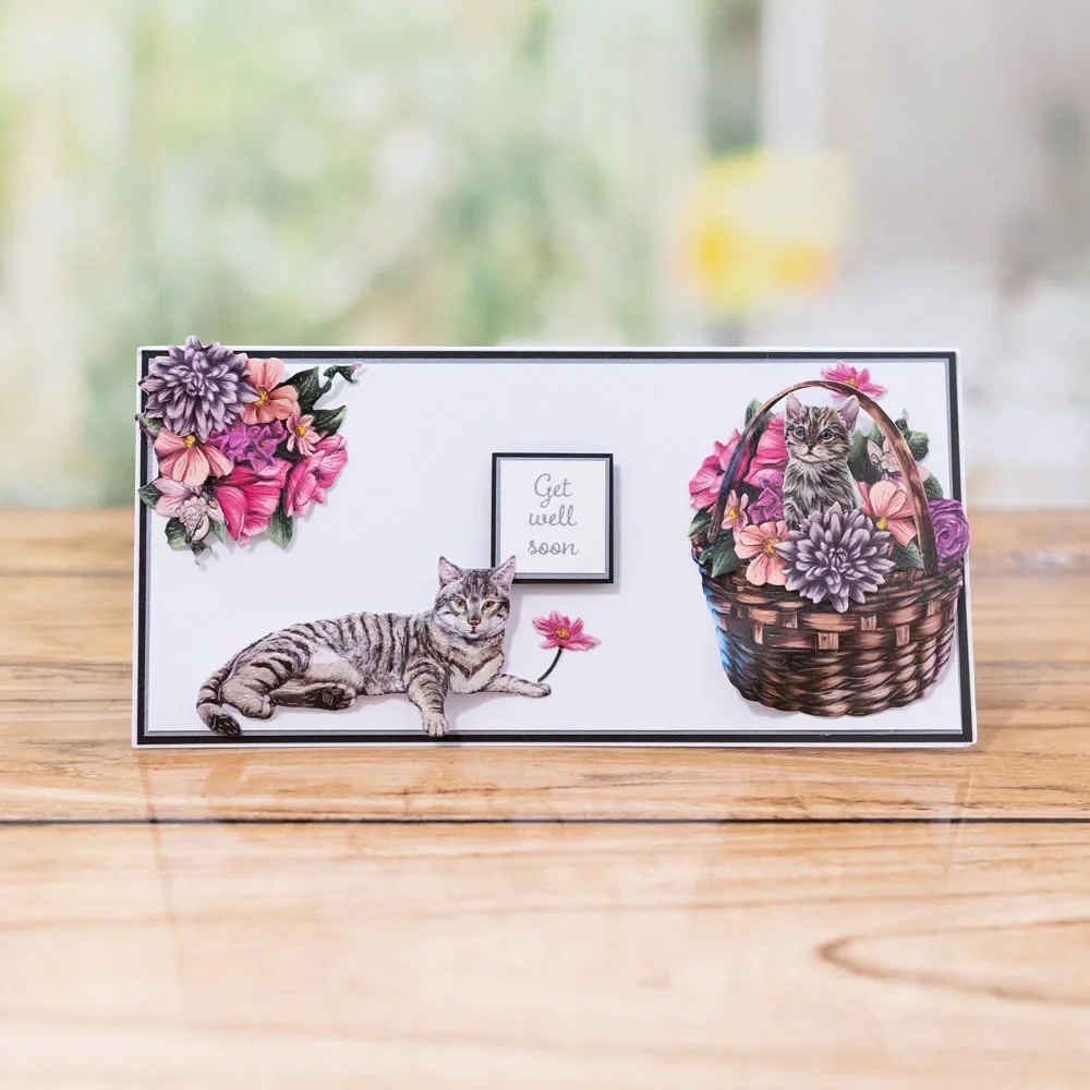 Wisteria 2024Cat дерево изношенный забор замечательные новые металлические штампы для