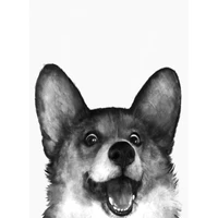 amtmbs black white cute corgi diy painting by numbers adults handpaint on canvas drawing by numbers wall decor