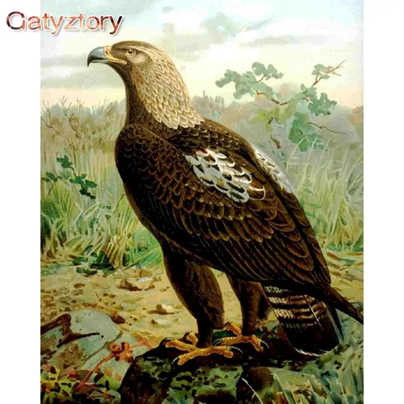 

GATYZTORY 60x75cm Painting By Numbers On canvas Animals Canvas Paintings Eagle DIY Coloring By Numbers Wall art Home Decor