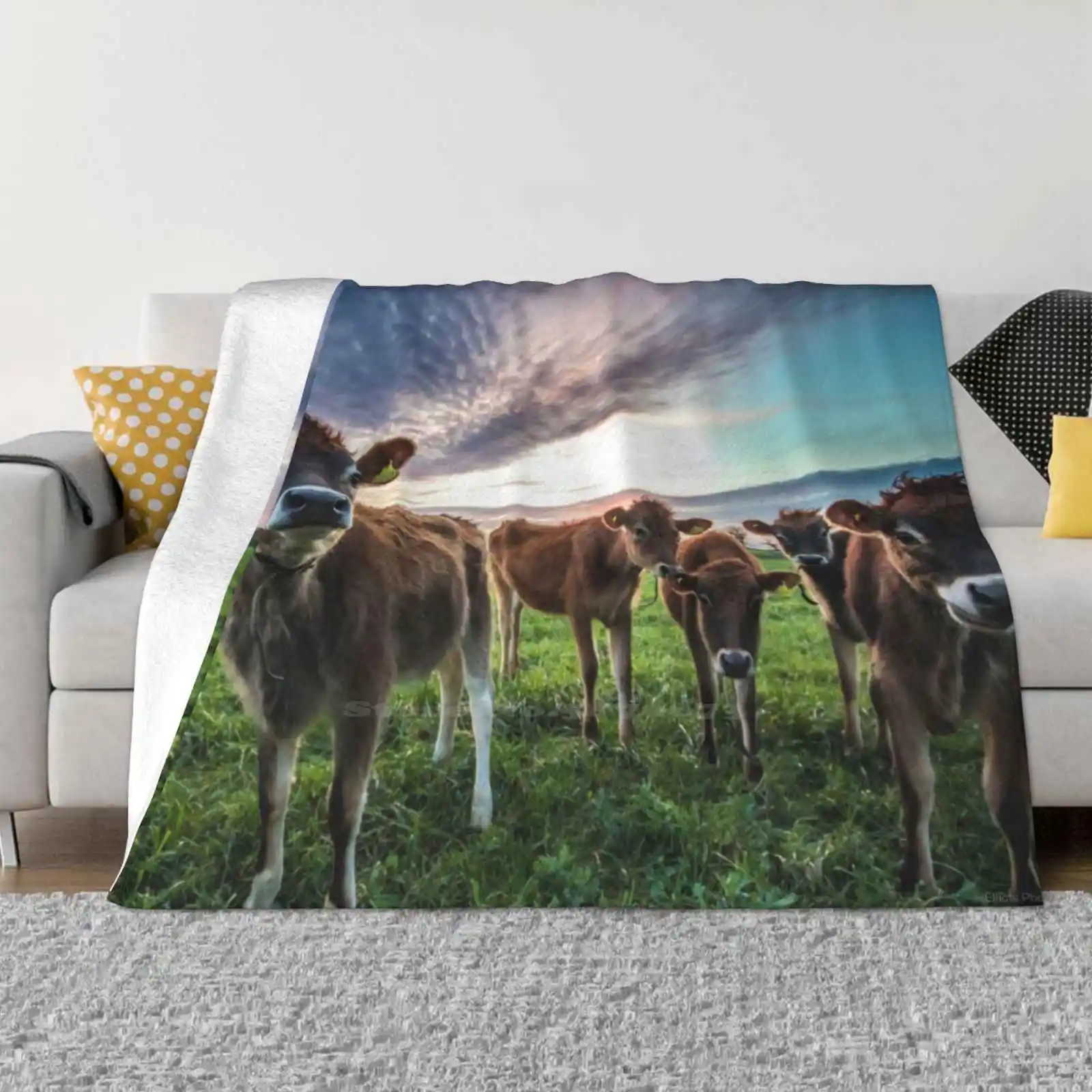 Красивое Джерси Крова Мягкое теплое легкое тонкое одеяло Корова Channelislands Sunset