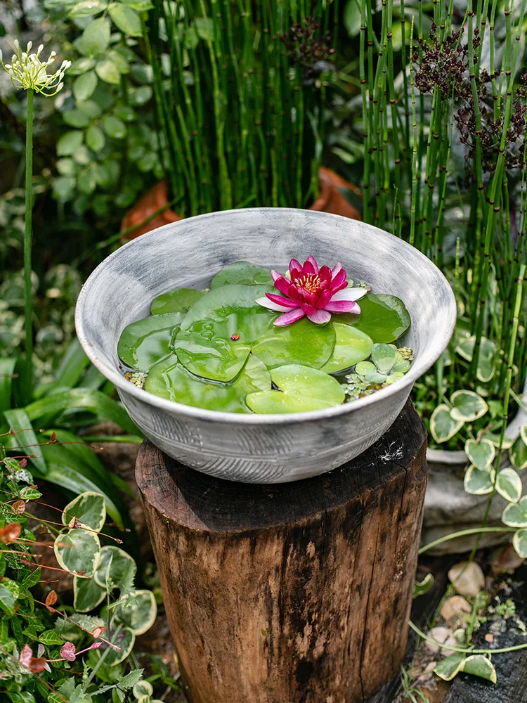 

Retro Thick Red Ceramic Flower Pot Large Bowl Hydroponic Sleeping Lotus Hydrocotyle Green Radish Succulent Bonsai Viewing Pot