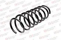 

Store code: 104062R for rear coil spring F10 13 =