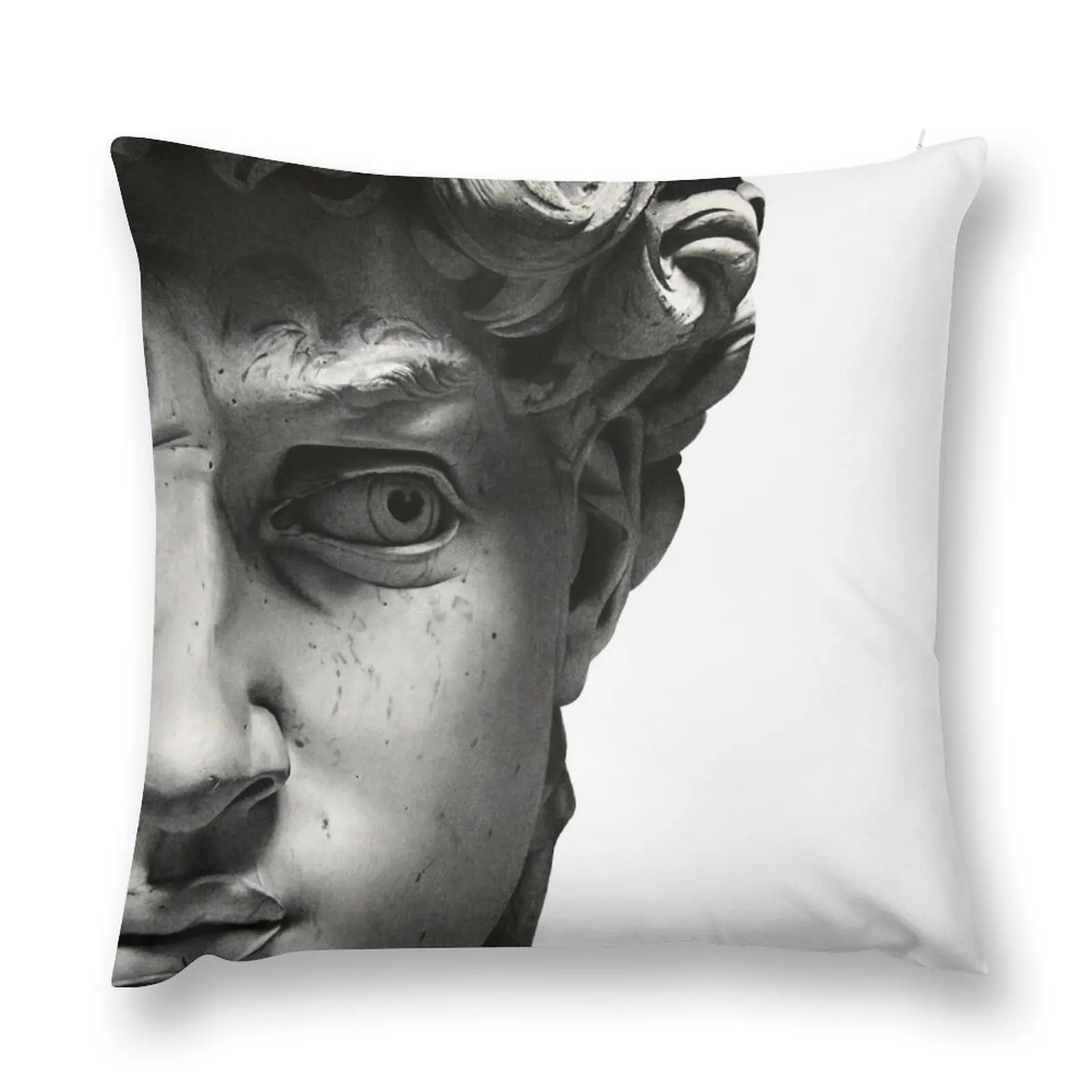 Сувенир из Флоренции-Давида наволочки для диванных подушек гостиной