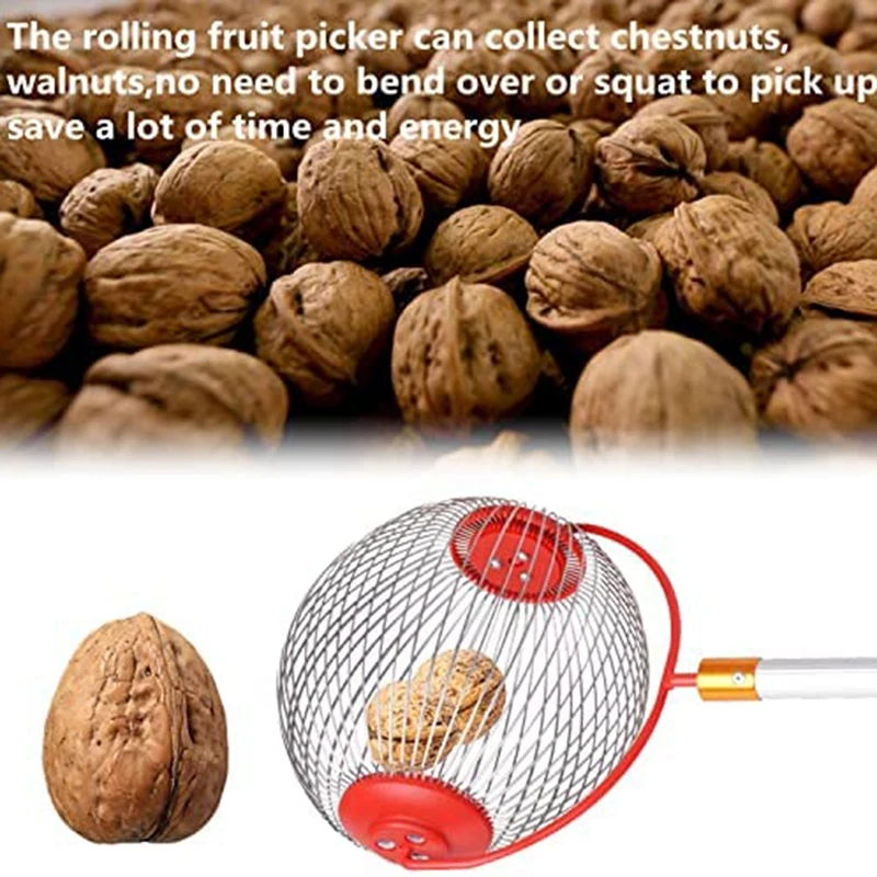 Сборщик орехов для каштана
