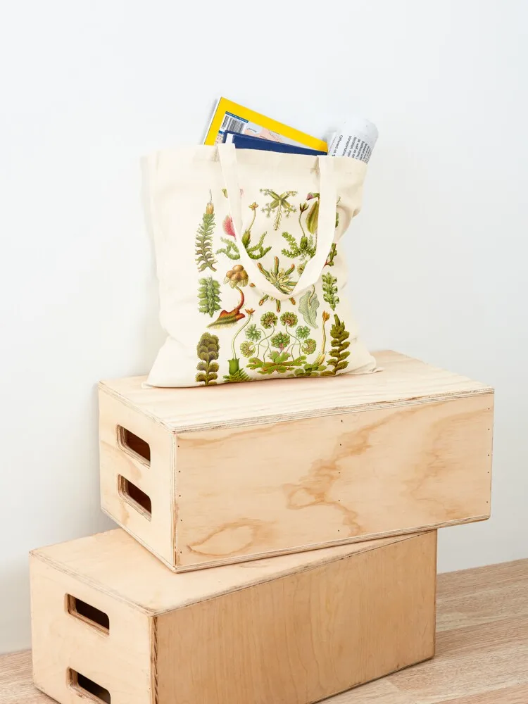 Hepaticae - Ernst Haeckel Tote Bag сумка-тоут на заказ холщовая сумка для покупок подарочная