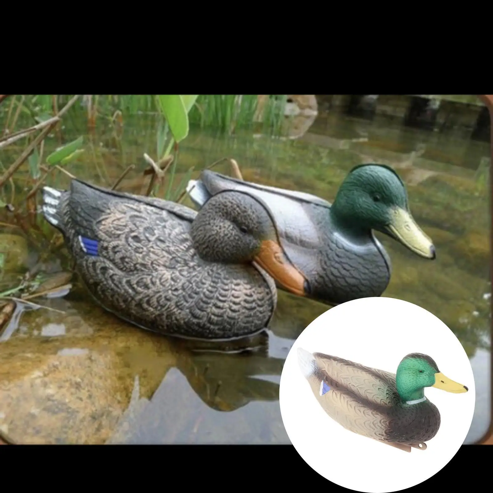 

3D Lifelike Mallard Duck Decoy Floating Male Duck Hunting Animals Decoys Pool Ornaments Waterscape Landscaping Ornaments