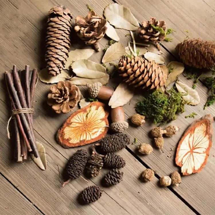 Сухой цветок креативная наклейка материал для детского сада воск ручной работы