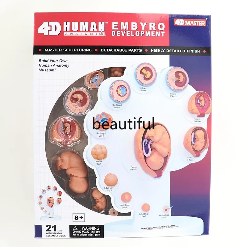 21 шт. Детский развивающий орган эмбиро