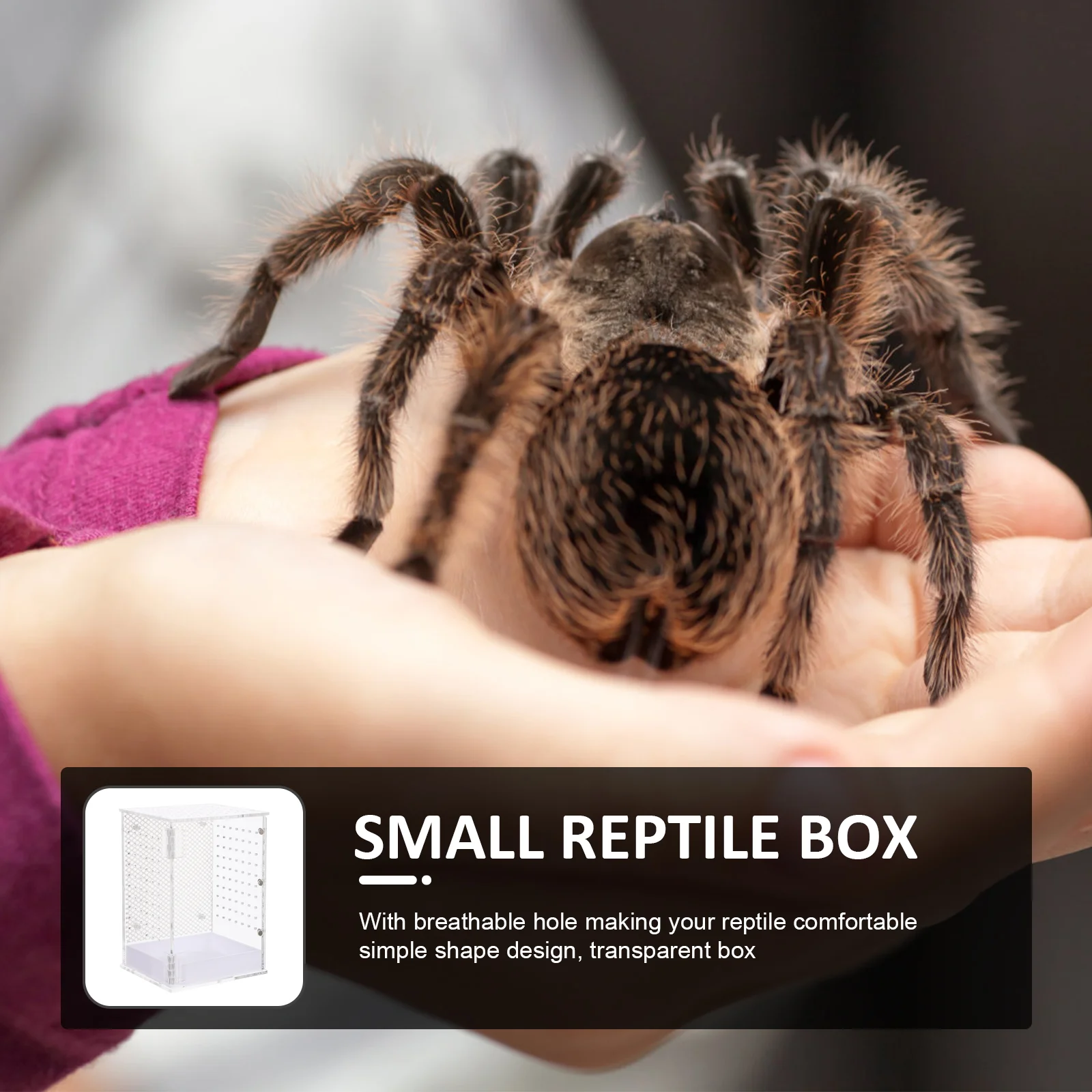 Рептилия террариум для домашних животных контейнер разведения богомола