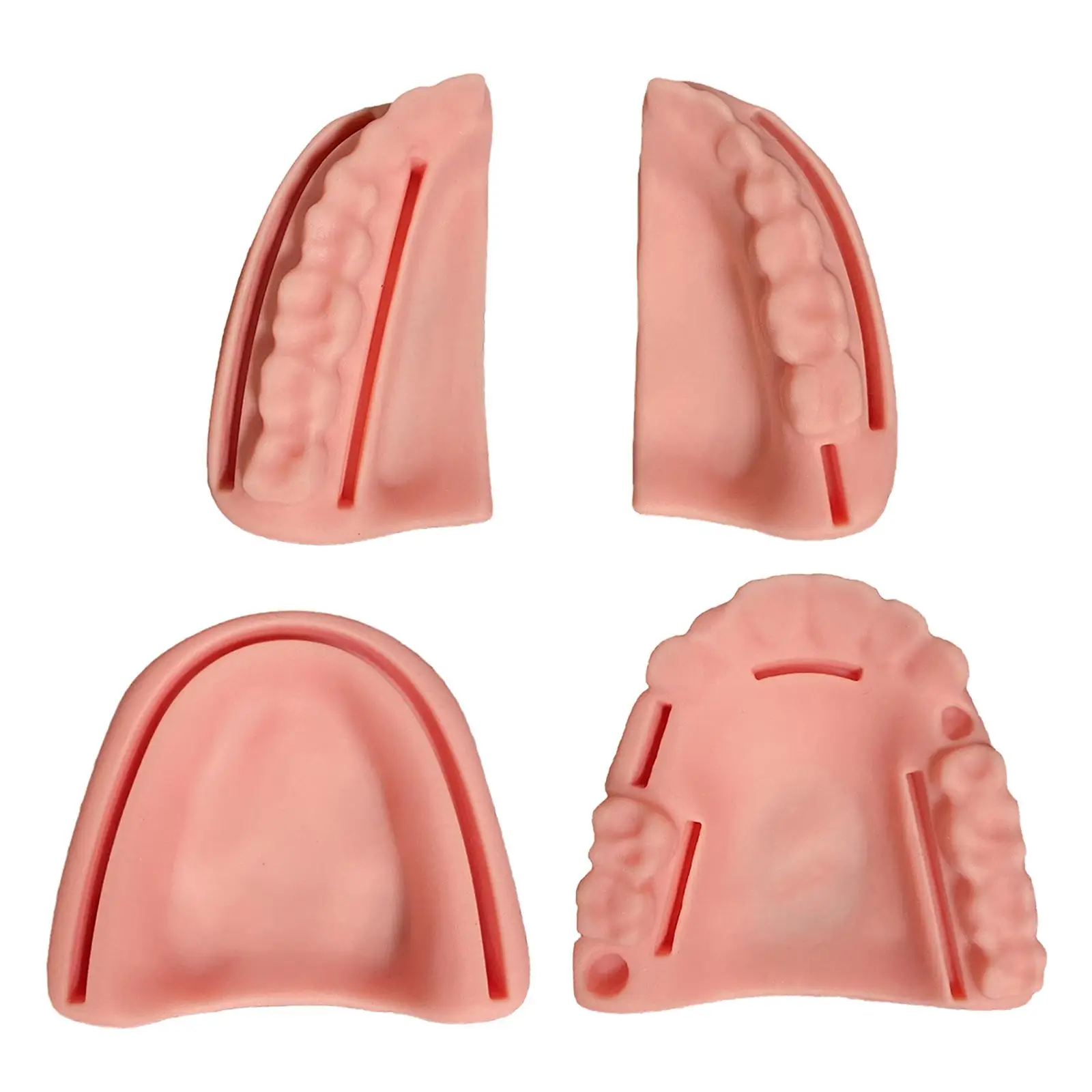 

4Pcs Oral Teeth Gum Kit Common Types of Wounds Kit for Study Practice