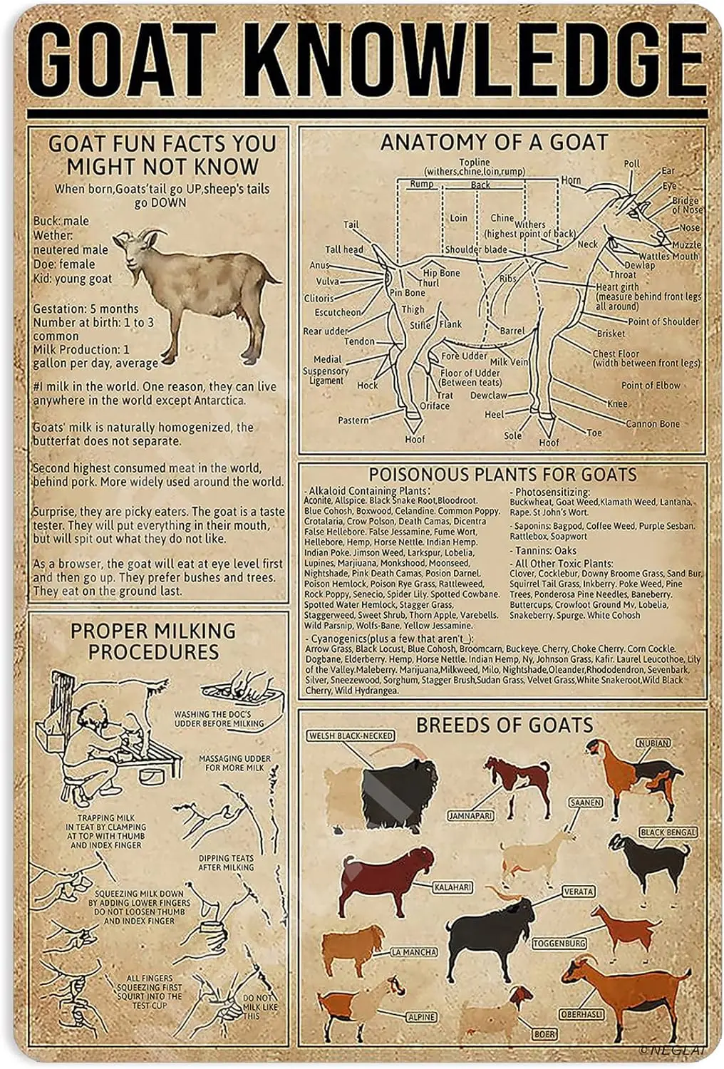 Знания о козах металлический жестяной знак строгание коз инфографический