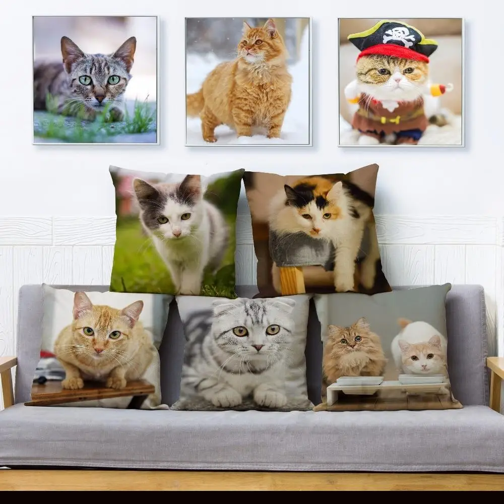 

Cute Pet Cat Printing Hug Pillowcase Square Cushion Cover Polyester Pillowcase Car Sofa Home Decoration Pillowcase