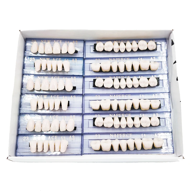 168 pieces/6sets /box Dental Synthetic Polymer Teeth Full Set Resin Denture Dental Teeth Color A2 A3 Size 23 Dentist Materials
