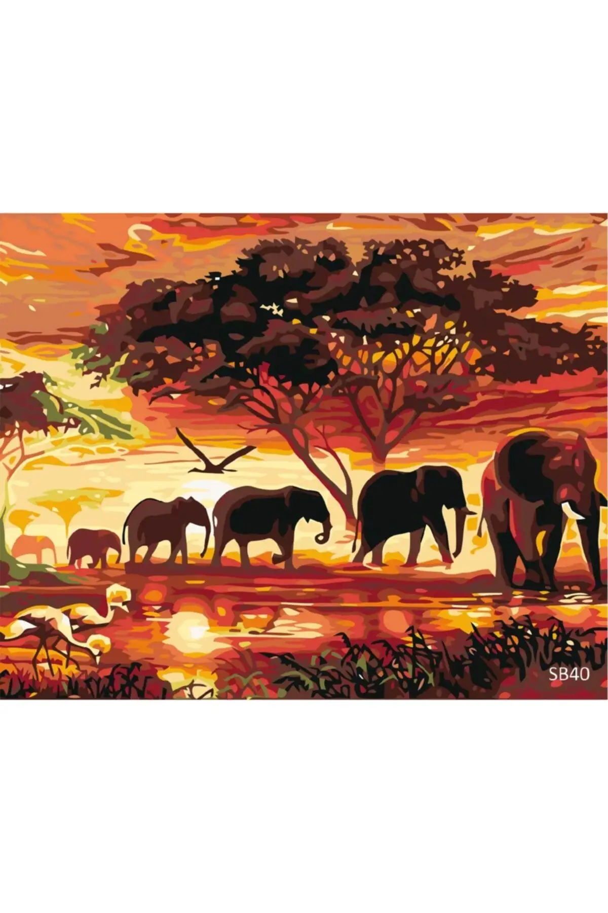 

Painting by numbers Set Elephant Family 40x50cm Canvas