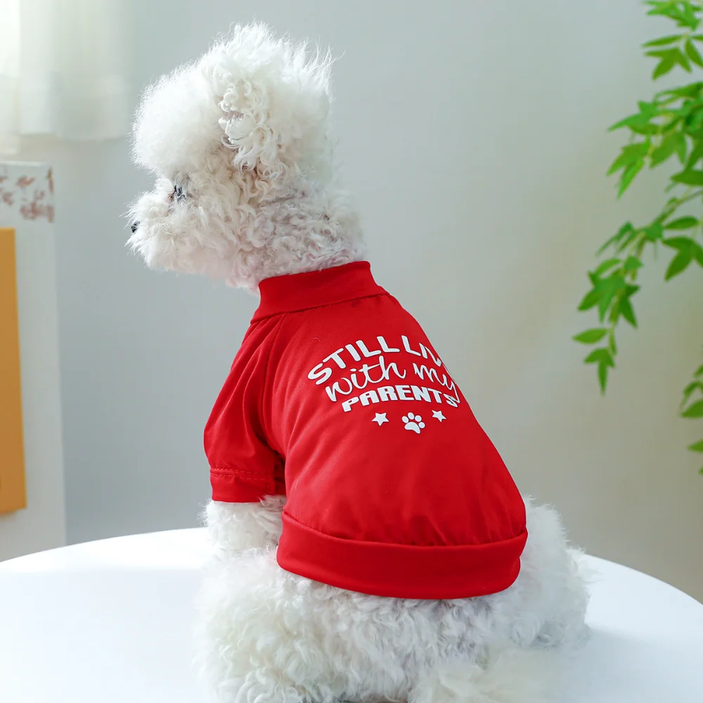 

Одежда для щенков, сезон весна-лето, модный дизайнерский пуловер, милая Толстовка для кошек, рубашка для маленьких собак, пижама для домашних животных, чихуахуа