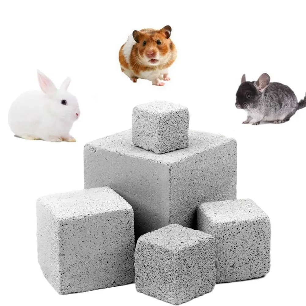 Хомяк клетка для шиншиллы аксессуары ухода за зубами домашних животных