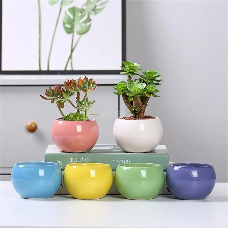 

Desk Potted Plant Ornaments Simple And Fresh Atmosphere Ceramic Fleshy Plant Small Flower Pot With Breathable Hole Potted Plant