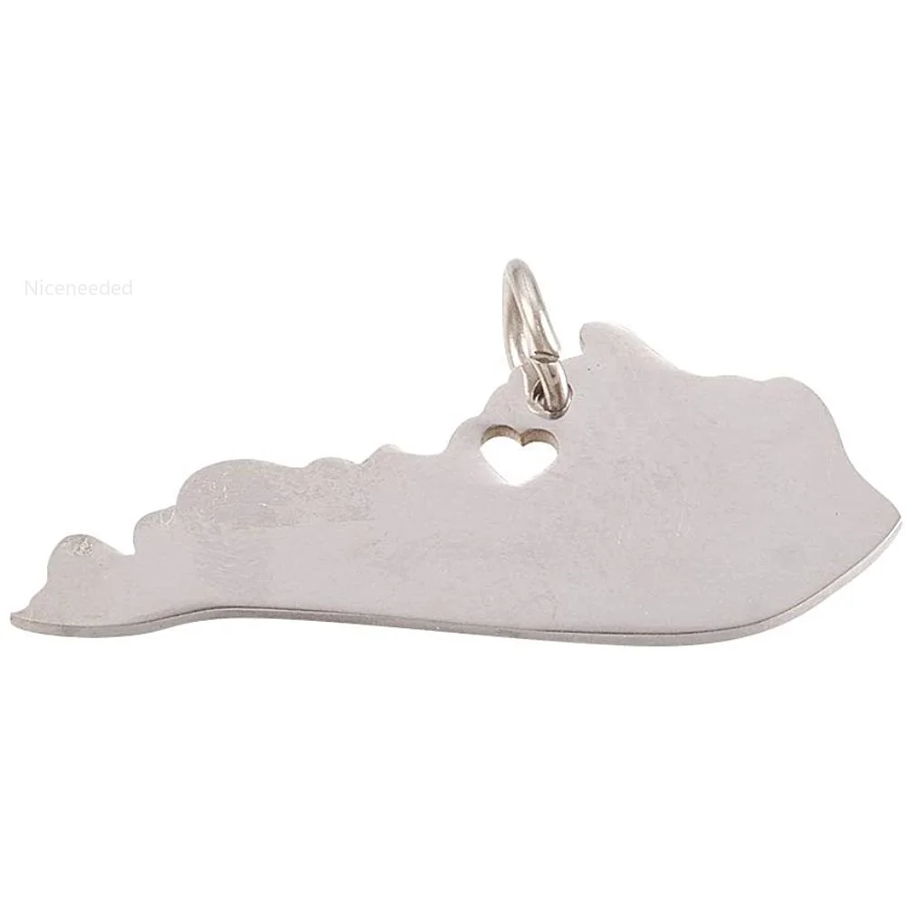 

20pcs 202 Stainless Steel Pendants Sliver Tone Map Dangle Charm Map of Kentucky Crafting Jewelry Findings for Bracelet Making