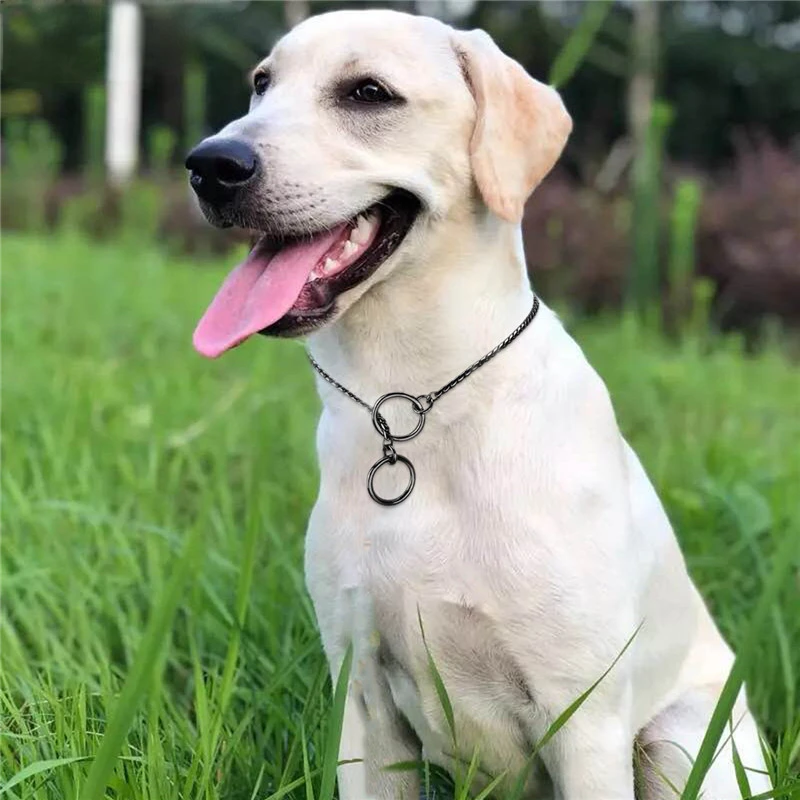 

1x Copper Pet Dog P Chain Snake Chain Dog Harness Twisted Necklace Pet Show Training Choker Collars Dog Leash Pet Collar