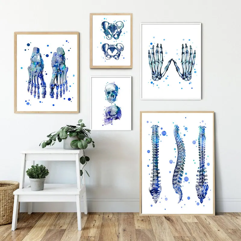 Голубая Анатомия человека настенная Картина на холсте медицинский постер