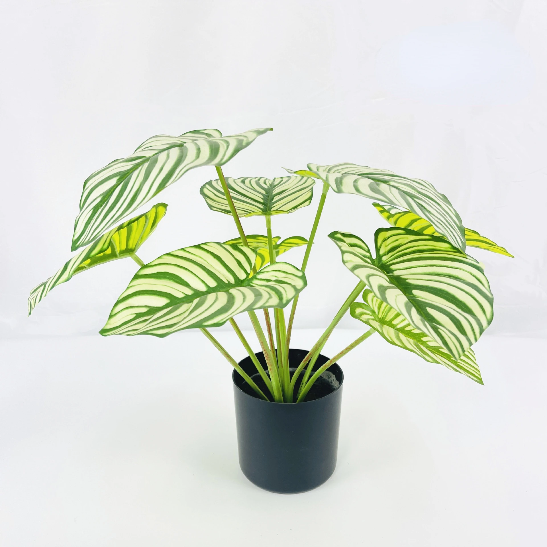 

Искусственные листья арбуза Green Aloes