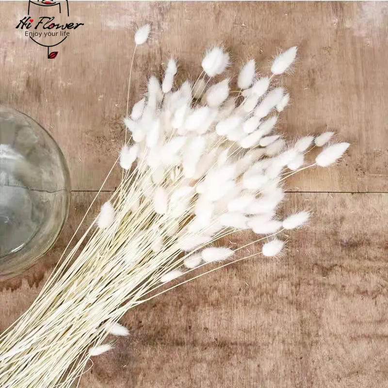 

Dried Flower Pampas Grass Lagurus Bunny Rabbit Tail Grass Bouquet Wedding Christmas Decoration Artifical Flowers Boho Home Decor