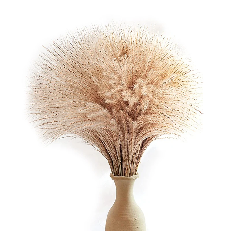 

60Pcs Pampas Grass, Fluffy Pampas Grass Decor. Manually Selected Dried Pampas Grass & Pompass Grass Branches Natural