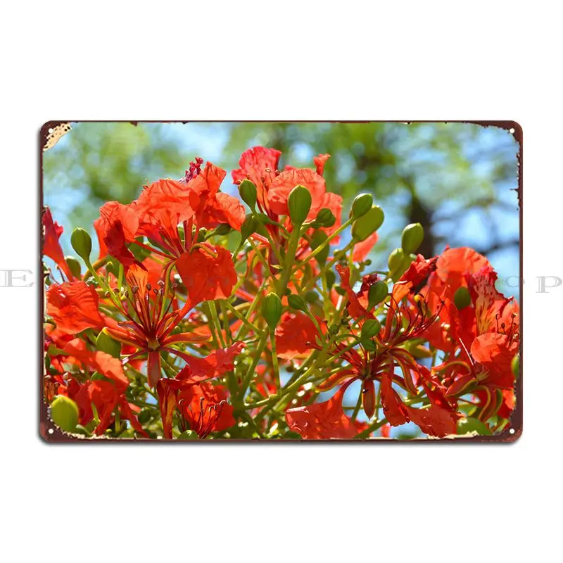 

Цветы Firy, красный металлический знак, Забавный Настенный декор, Клубная печать, создание оловянного знака, плакат